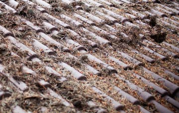 Thorpe Audlin roof cleaning companies